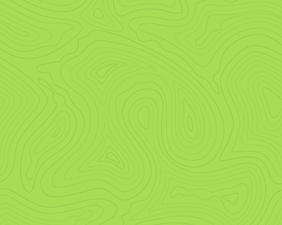 Delivering High Quality Projects